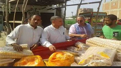 ضبط مصنع لبيع مثلجات مجهولة أمام المدارس في بني سويف