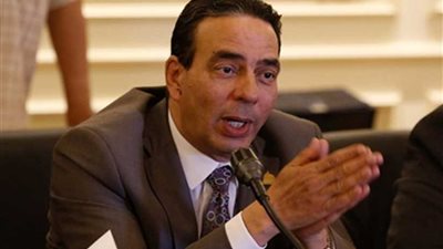 أيمن أبو العلا: تشكيل فريق عمل منفصل لمتابعة تنفيذ برنامج الحكومة