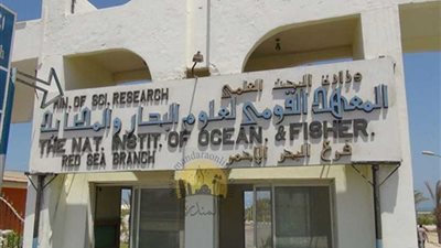 معهد علوم البحار: العثور على حوت نافق بالساحل الشمالي