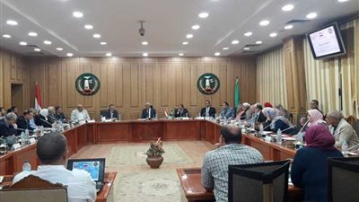 إحياء المجلس الصحي الإقليمي بالمنوفية بحضور نقيب الصيادلة