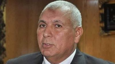 تخصيص أرض لإنشاء محطة كهرباء بتكلفة 1,3 مليار جنيه بالوادي الجديد