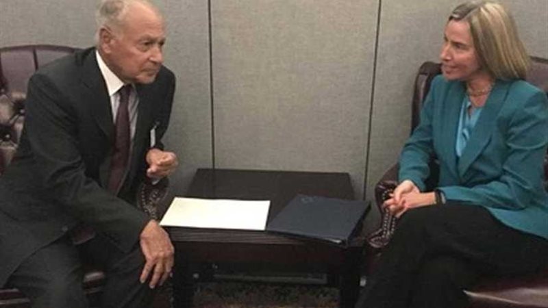 أبو الغيط يبحث مع