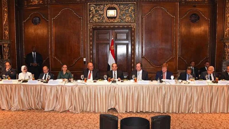 تفاصيل لقاء السيسي