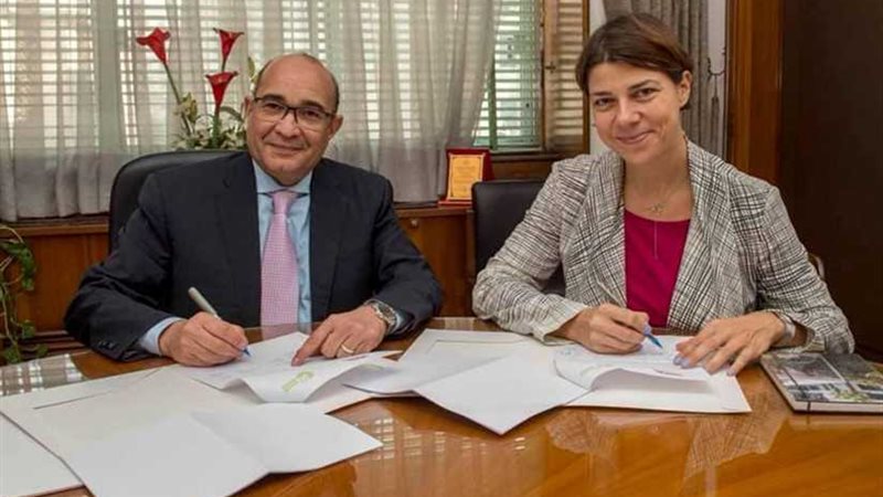 رئيس تحرير الأهرام