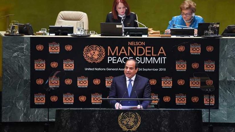 بالصور.. نشاط مكثف