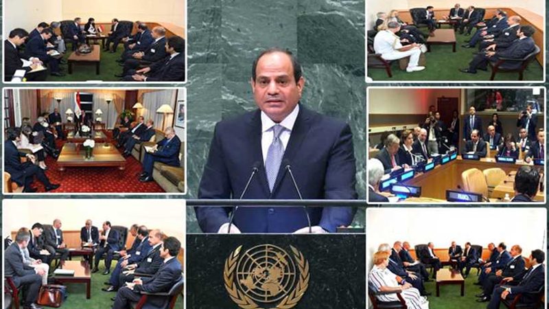 شاهد..نشاط مكثف للرئيس