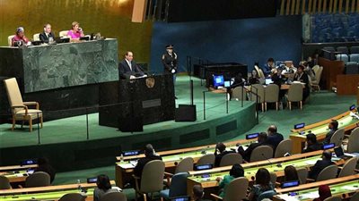 الاستعلامات: الرئيس السيسي يطرح رؤية مصر على مائدة مجلس إدارة العالم