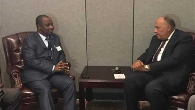 وزير الخارجية يبحث التعاون الثنائي والقضايا الإقليمية مع نظيره البوروندي