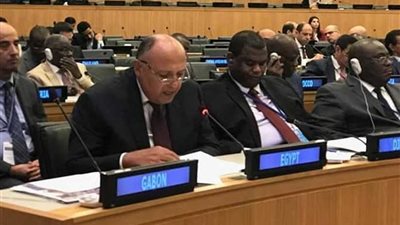 نص كلمة وزير الخارجية في اجتماع دول منظمة العالم الإسلامي