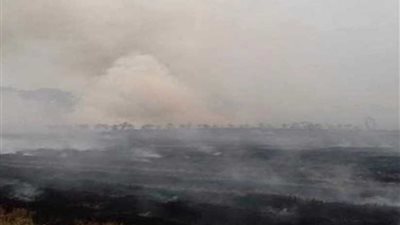 البيئة تعلن عن إجراءات لمواجهة السحابة السوداء