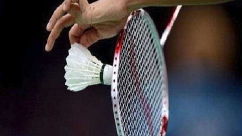 الريشة الطائرة يطالب