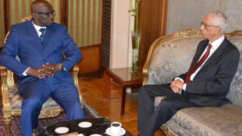 نائب وزير الخارجية