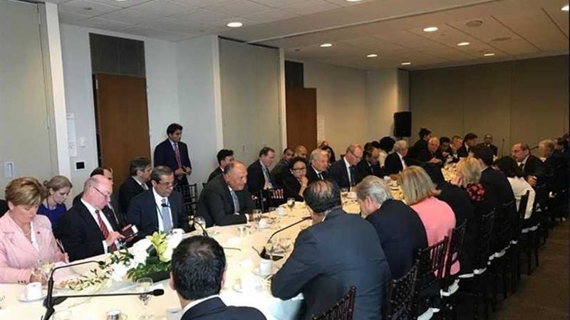 شكري يشارك في الاجتماع