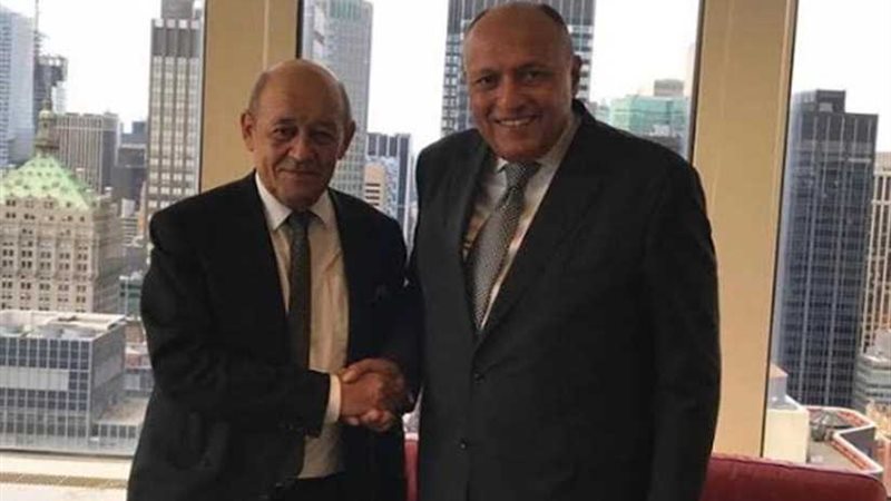 شكري يجري مباحثات