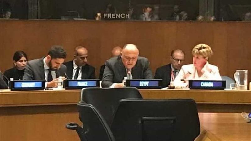 شكري يؤكد ضرورة وضع