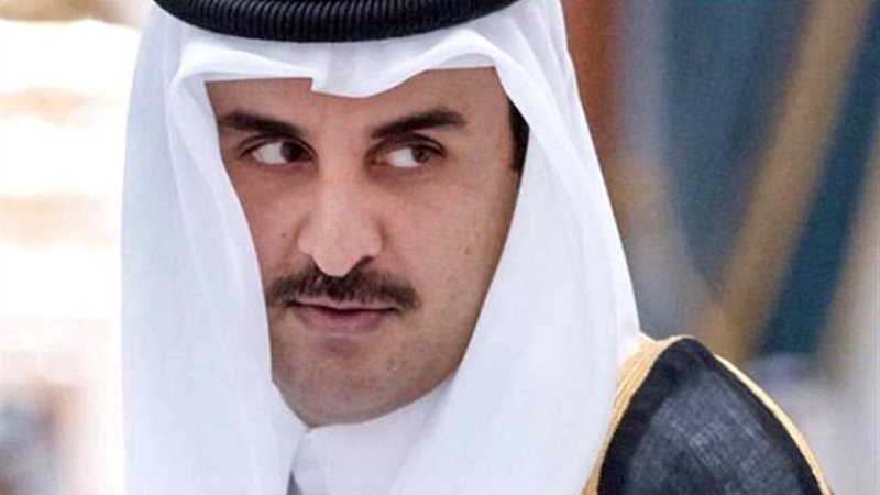 شقيق أمير قطر يثير