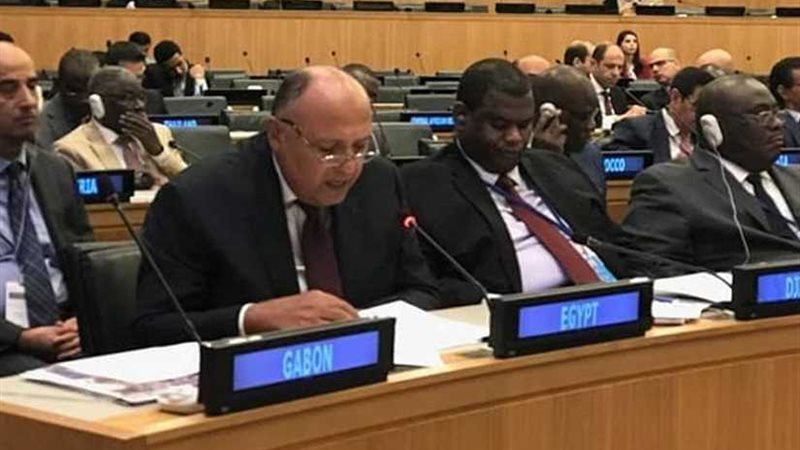 نص كلمة وزير الخارجية