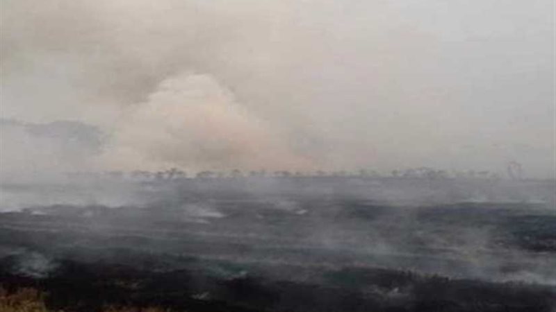 البيئة تعلن عن إجراءات