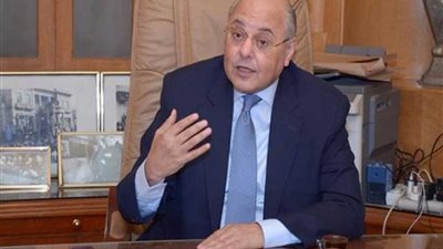 موسى مصطفى موسى: رحلة الرئيس ناجحة وحققت المستهدف منها