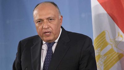 شكري: مشاركة الرئيس باجتماعات الأمم المتحدة يؤكد إيمان مصر بضرورة الوصول لنظام دولي أكثر عدلا