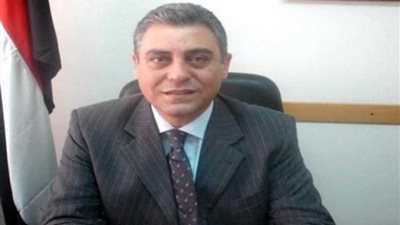 السفير المصري في تنزانيا يلتقي رئيس الجمهورية بمناسبة انتهاء مهام عمله