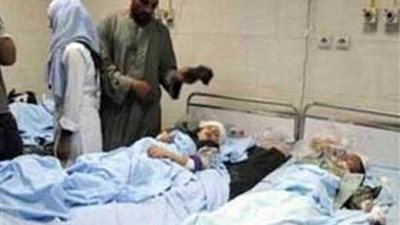 تسمم طفل لدغته حشرة مجهولة أثناء لهوه فى أرضه الزراعية بـ 