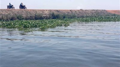 الزراعة :لاصحة لبيع بحيرة المنزلة لاحدي الدولة العربية