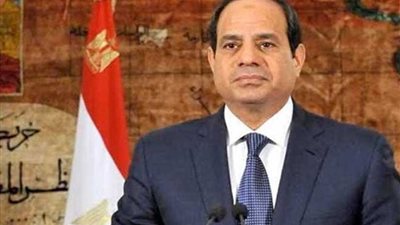 نص خطاب الرئيس السيسي للبرلمان اعتراضا على مشروع قانون البحوث الطبية
