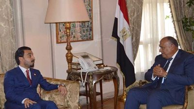 وزير الخارجية : مصر تدعم وحدة العراق وسيادته على أراضيه