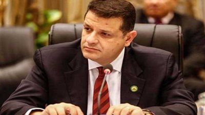 طارق رضوان يطالب باستحداث وزارة للشئون الافريقية