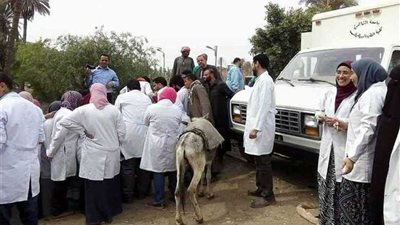 قوافل بيطرية مجانية في قرى القليوبية