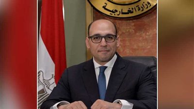 شكري يصدر قرارًا بتعيين المستشار أحمد حافظ متحدثًا جديدًا باسم وزارة الخارجية