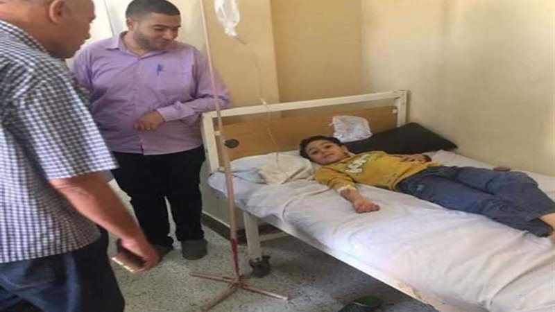 محافظة الدقهلية: