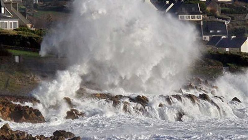 السلطات اليابانية