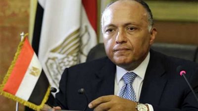 شكري يعقد اجتماعاً تنسيقياً مع وزراء الخارجية العرب المشاركين في 