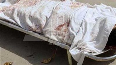 مصرع سروجي سيارات سقط من سطح عقار بالهانوفيل