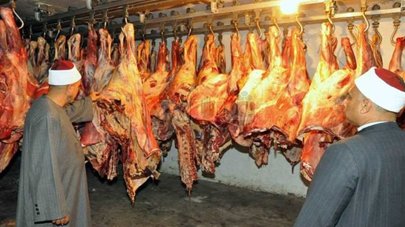 الأوقاف.. توزيع ٢٨