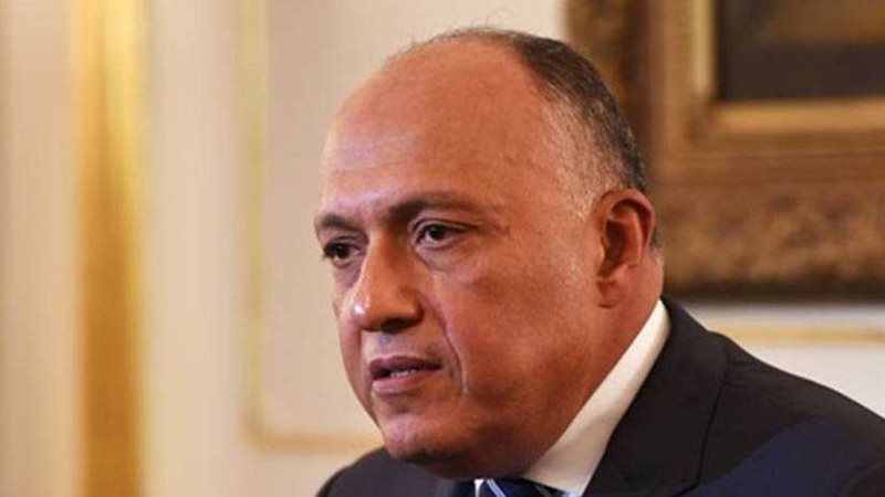 شكري : تعزيز التعاون