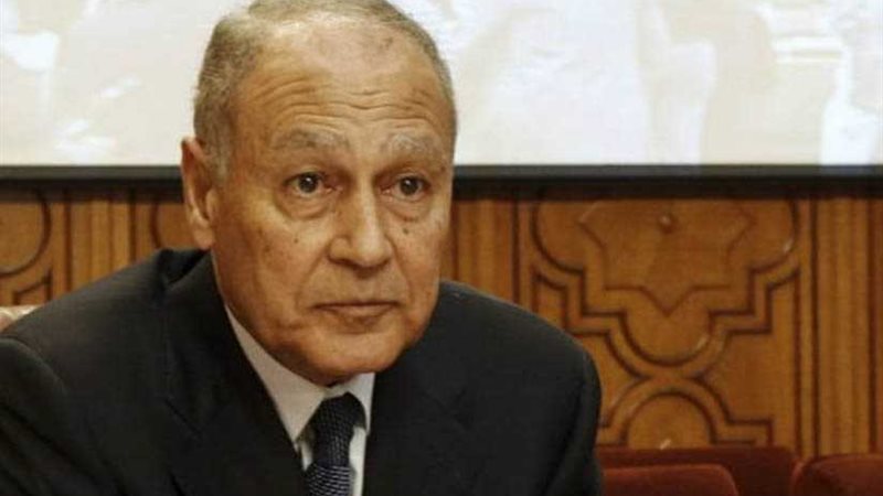 أبو الغيط يجري اتصالًا