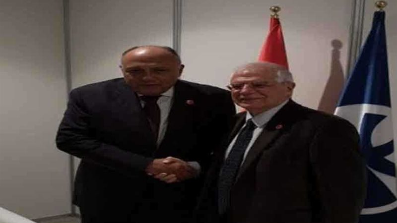 شكري يعقد مباحثات