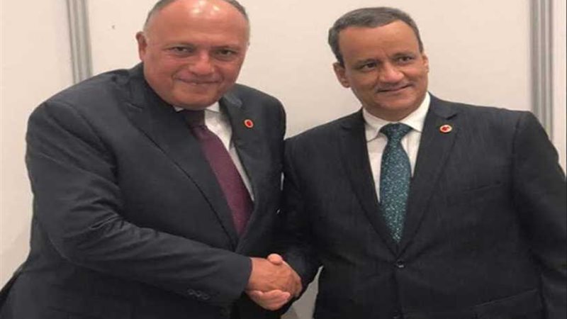 شكري يلتقي نظيره