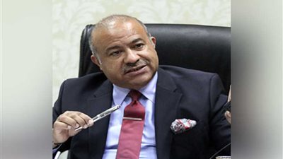 ضخ 15 مليار جنيه استثمارات أجنبية لإنشاء 5 منافذ 