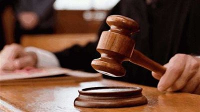 المؤبد لـ9 والمشدد لـ 13 بـ