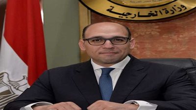 نشاط مكثف للجنة الدائمة لمتابعة العلاقات المصرية الإفريقية