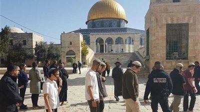 71 مستوطنا يقتحمون المسجد الأقصى بحراسات مشددة من قوات الاحتلال