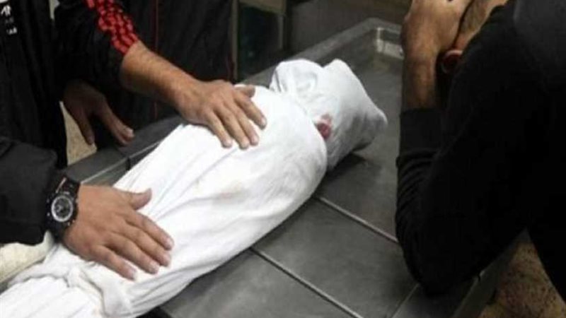 صحة الدقهلية: وفاة