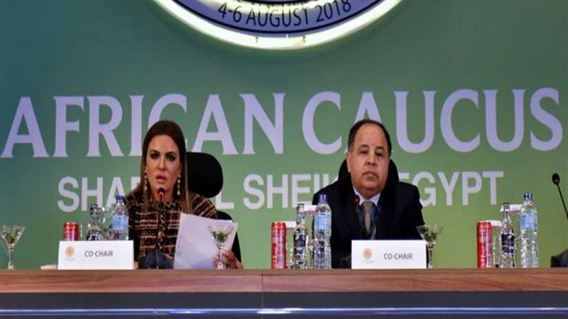 قرار لوزير المالية