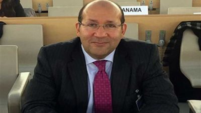 سفير مصر لدى روما: وفد تجاري إيطالي يضم 24 شركة يصل مصر ..غدًا