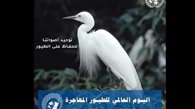 الأمم المتحدة تحتفل باليوم العالمي للطيورالمهاجرة تحت شعار 
