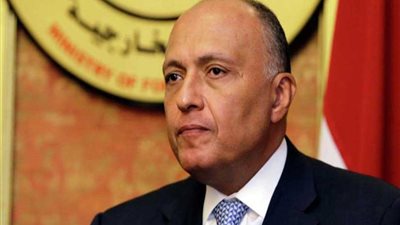 شكري: زيارة الرئيس السيسي المقبلة إلى موسكو للتنسيق والتشاور الدولي بين البلدين